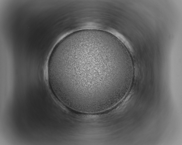 X0000102401238200808081258