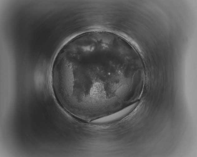 X0000102401239200808081258