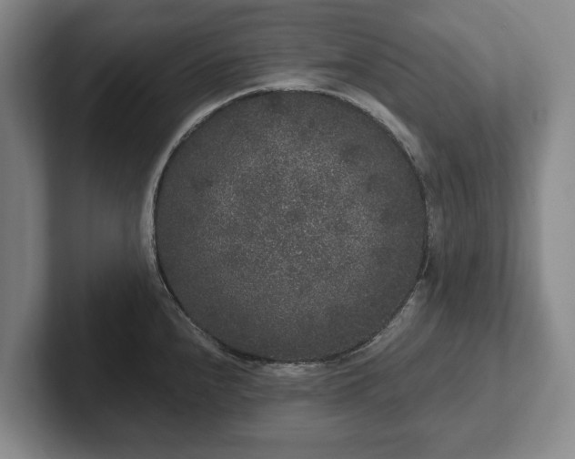 X0000102401240200808081258