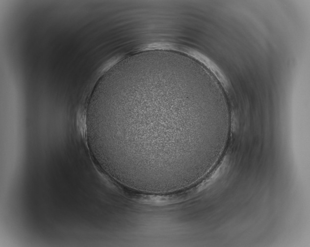 X0000102401241200808081258