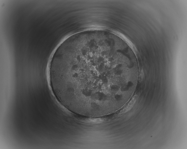 X0000102401243200808081258