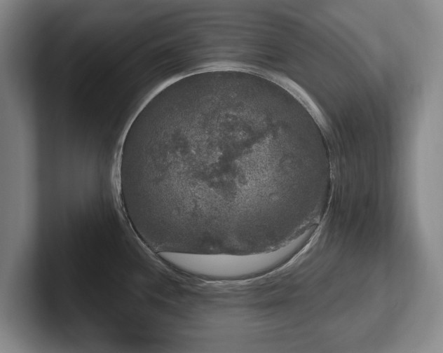 X0000102401244200808081258