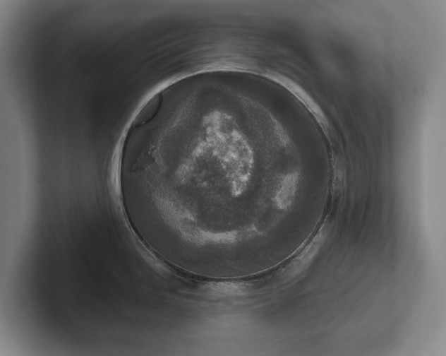 X0000102401246200808081258