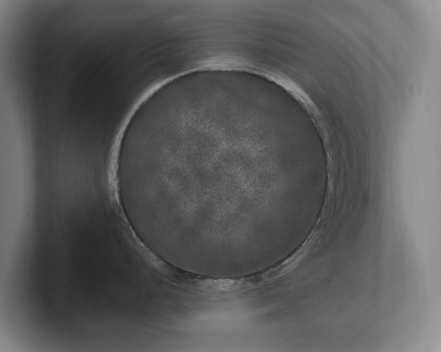 X0000102401248200808081258