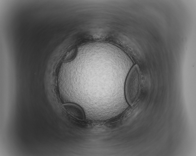 X0000102401249200808081257