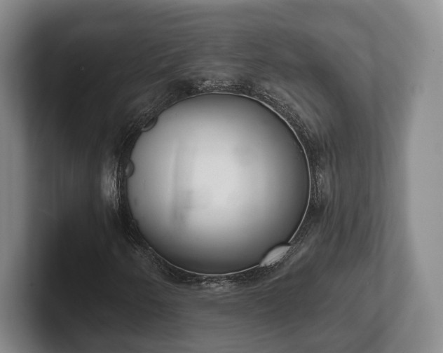 X0000102401250200808081257