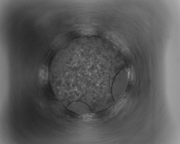 X0000102401251200808081257