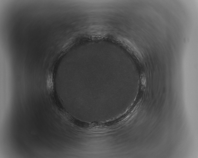 X0000102401252200808081257