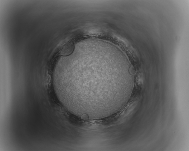 X0000102401253200808081257