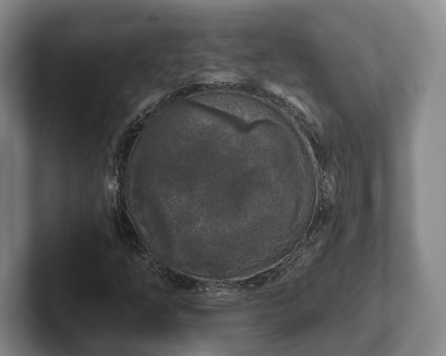 X0000102401254200808081257