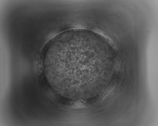 X0000102401255200808081257