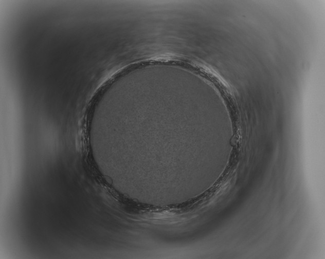 X0000102401256200808081257