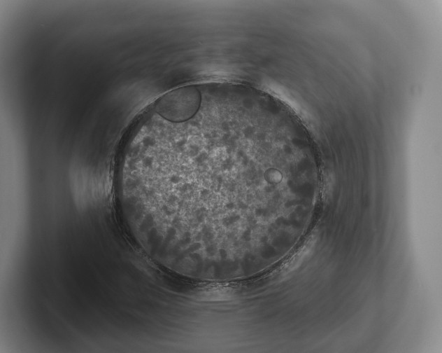 X0000102401259200808081257