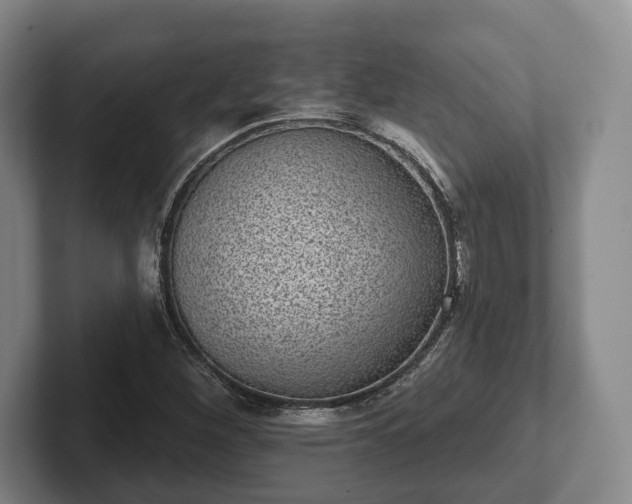 X0000102401260200808081257