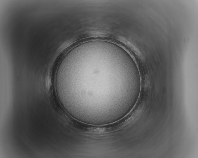 X0000102401261200808081257