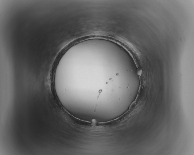 X0000102401264200808081257