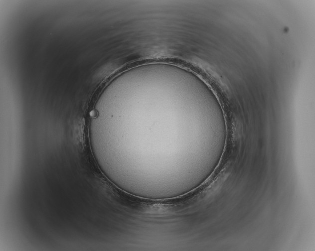 X0000102401265200808081257