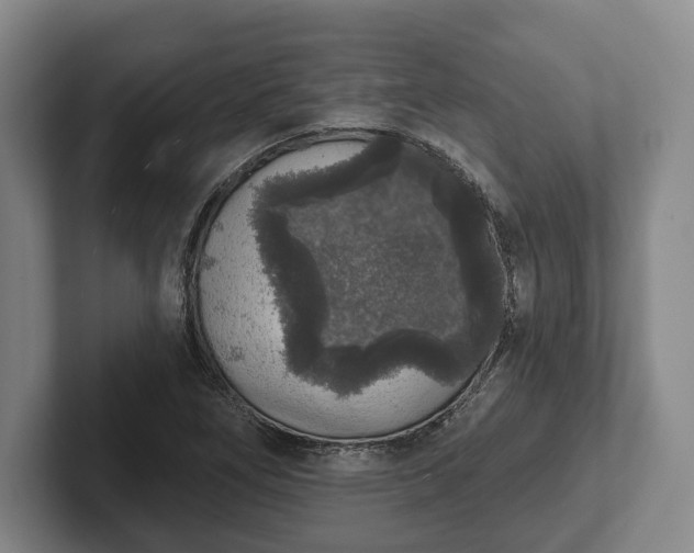 X0000102401266200808081257