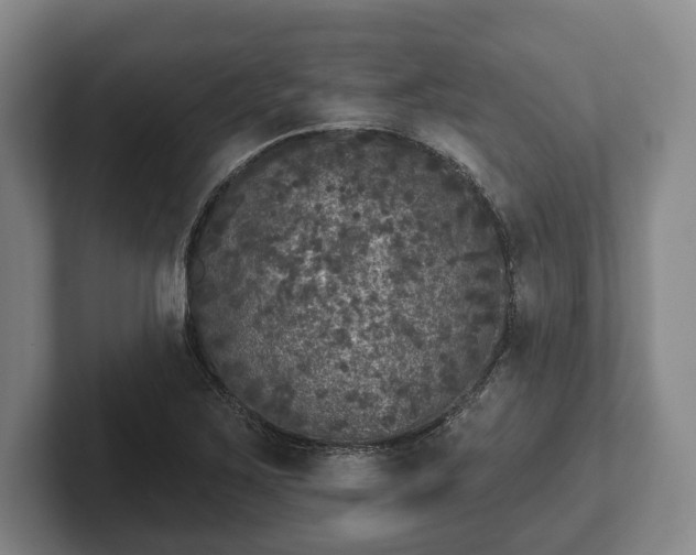 X0000102401267200808081257