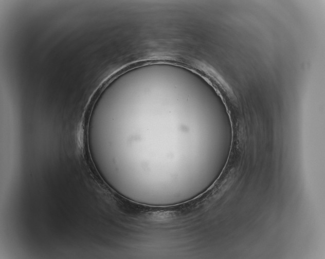 X0000102401268200808081257