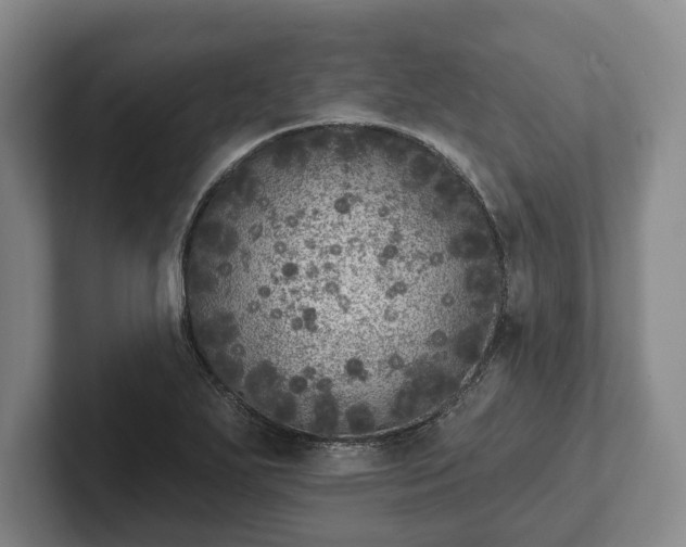 X0000102401271200808081257