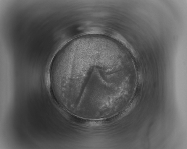 X0000102401274200808081257