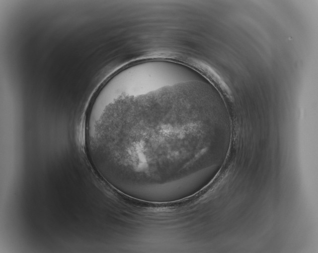 X0000102401276200808081257