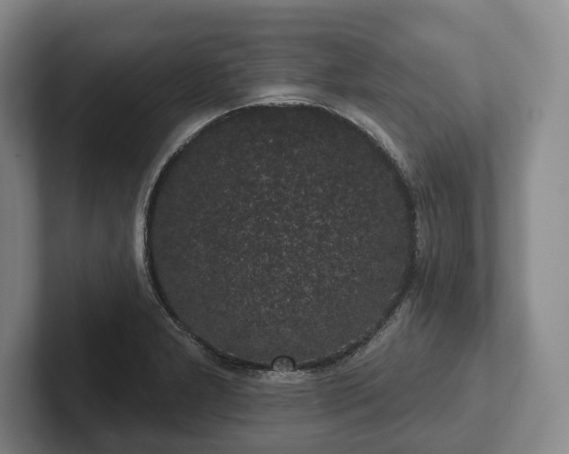 X0000102401277200808081257