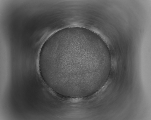 X0000102401278200808081257