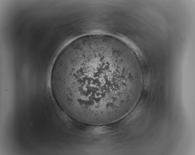 X0000102401279200808081257