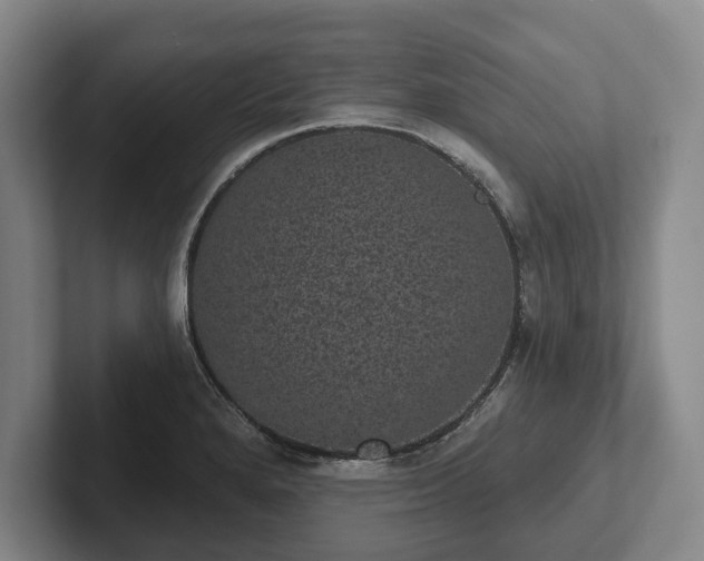 X0000102401280200808081257