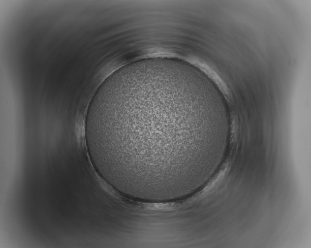 X0000102401281200808081257