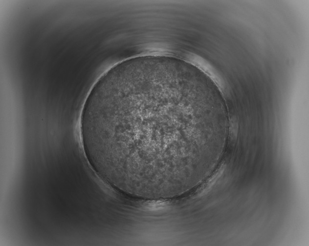 X0000102401283200808081257