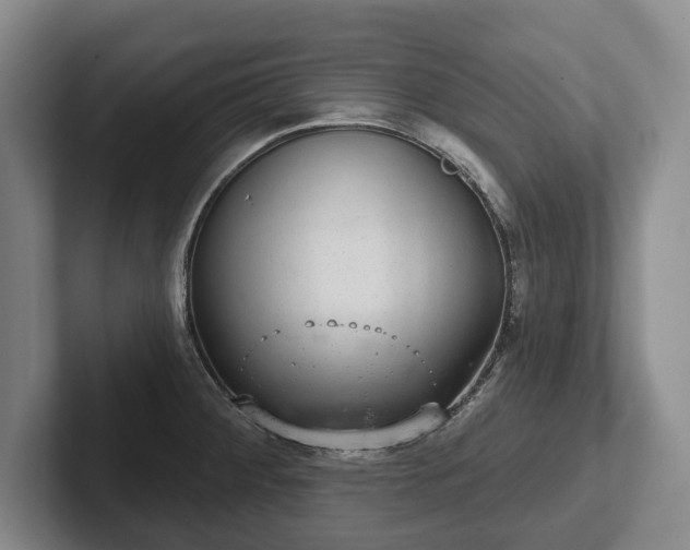 X0000102401284200808081257