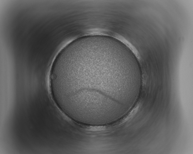 X0000102401285200808081257