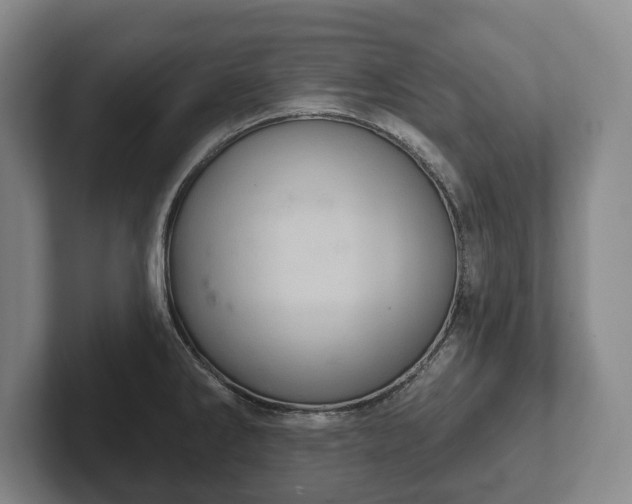 X0000102401286200808081257