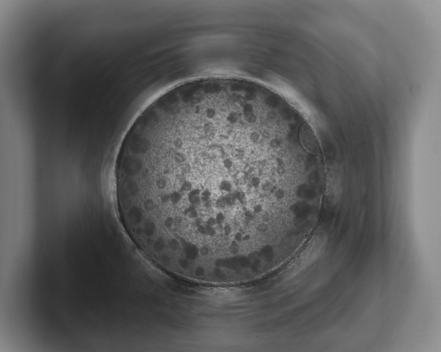 X0000102401287200808081257