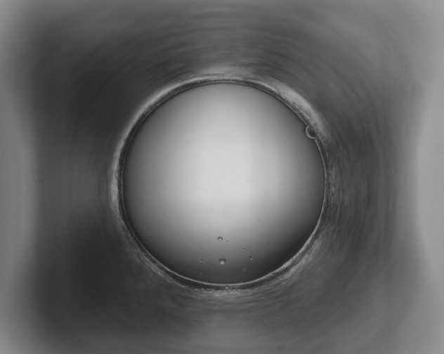 X0000102401288200808081257