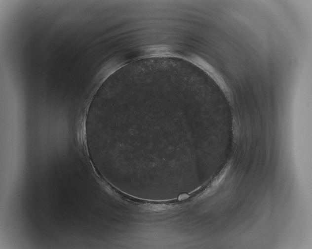 X0000102401289200808081257