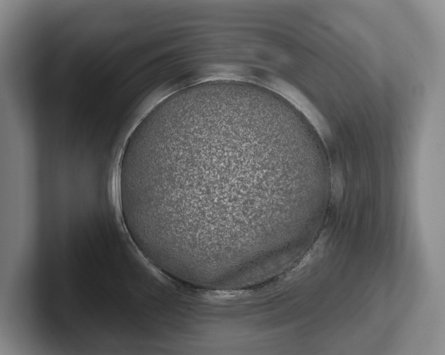 X0000102401290200808081257