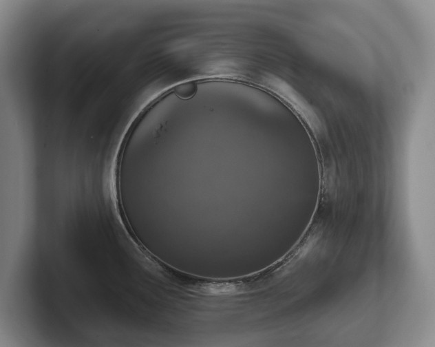 X0000102401291200808081257