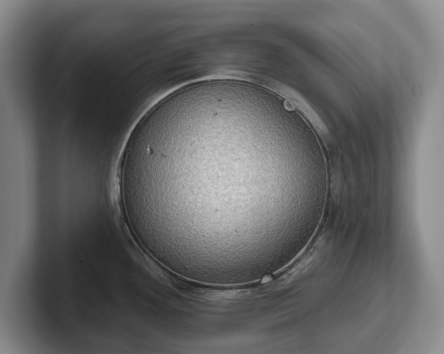 X0000102401292200808081257