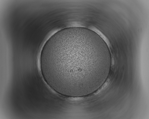 X0000102401293200808081257