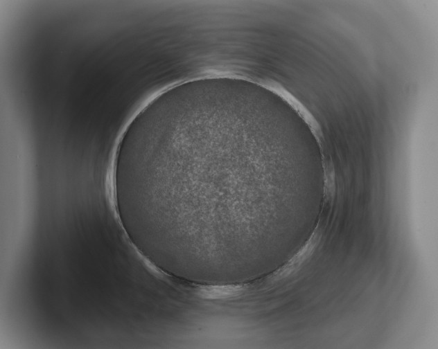 X0000102401294200808081257