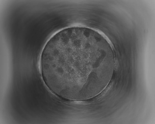 X0000102401295200808081257