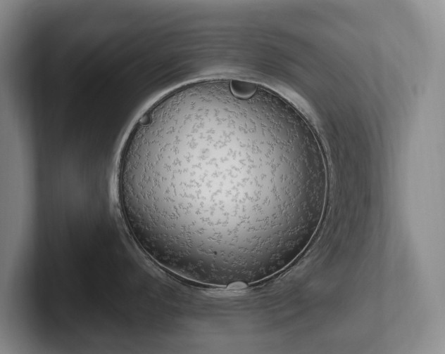 X0000102401296200808081257