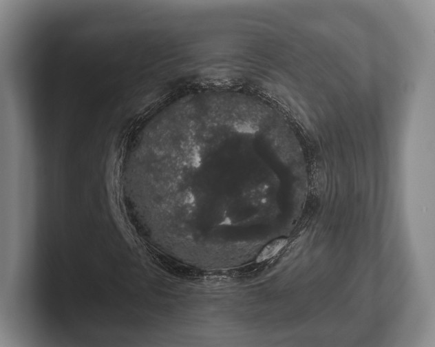 X0000102401297200808081256