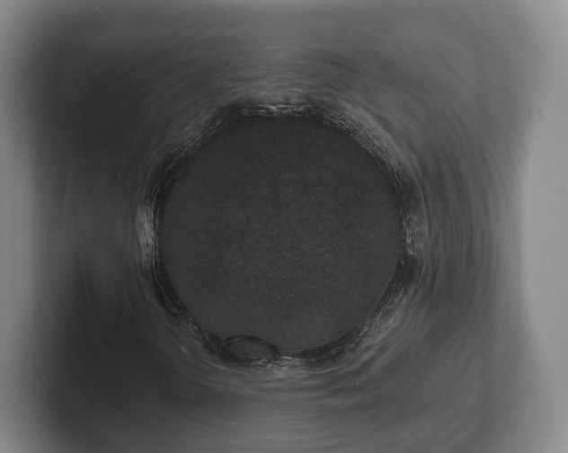 X0000102401298200808081256