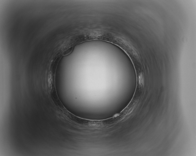 X0000102401299200808081256