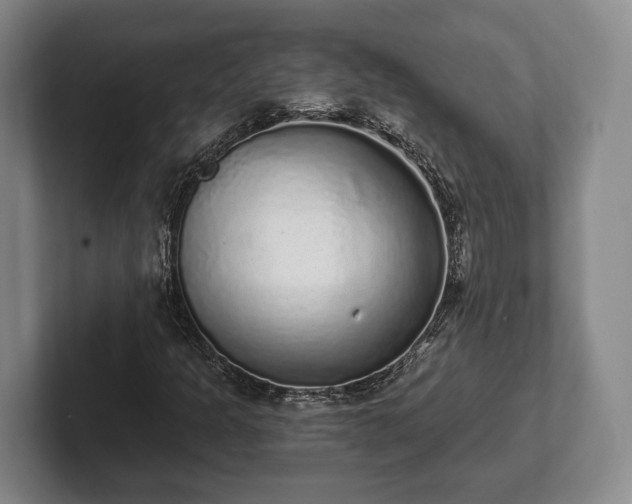 X0000102401301200808081256